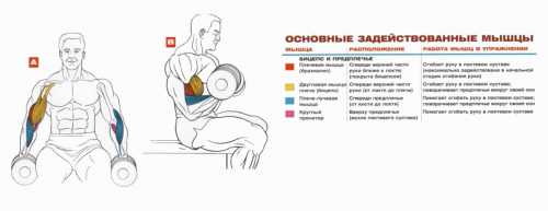 подъем переворотом на перекладине: техника выполнения и подготовка